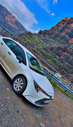 تويوتا كورولا